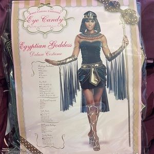 Egyptian Goddess Costume
